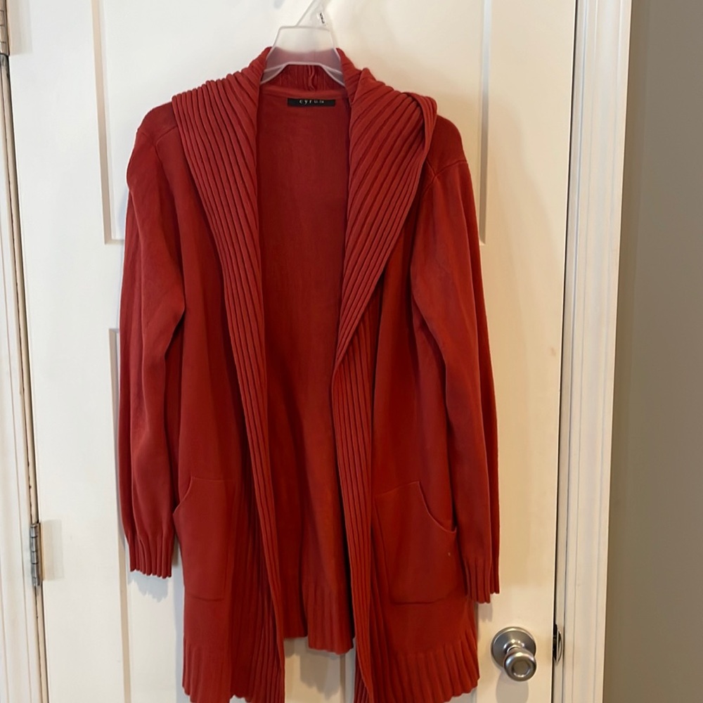 Women, burnt orange sweater, Cyrus with a hood large